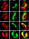 Figure 10.