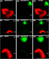 Figure 14.