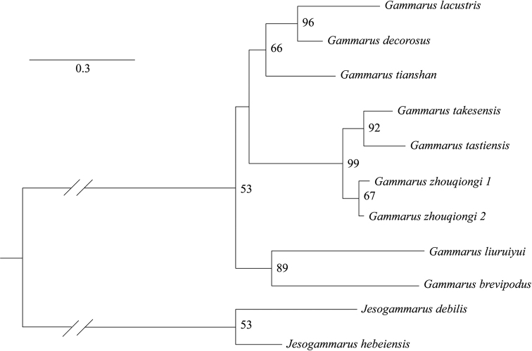 Figure 3.