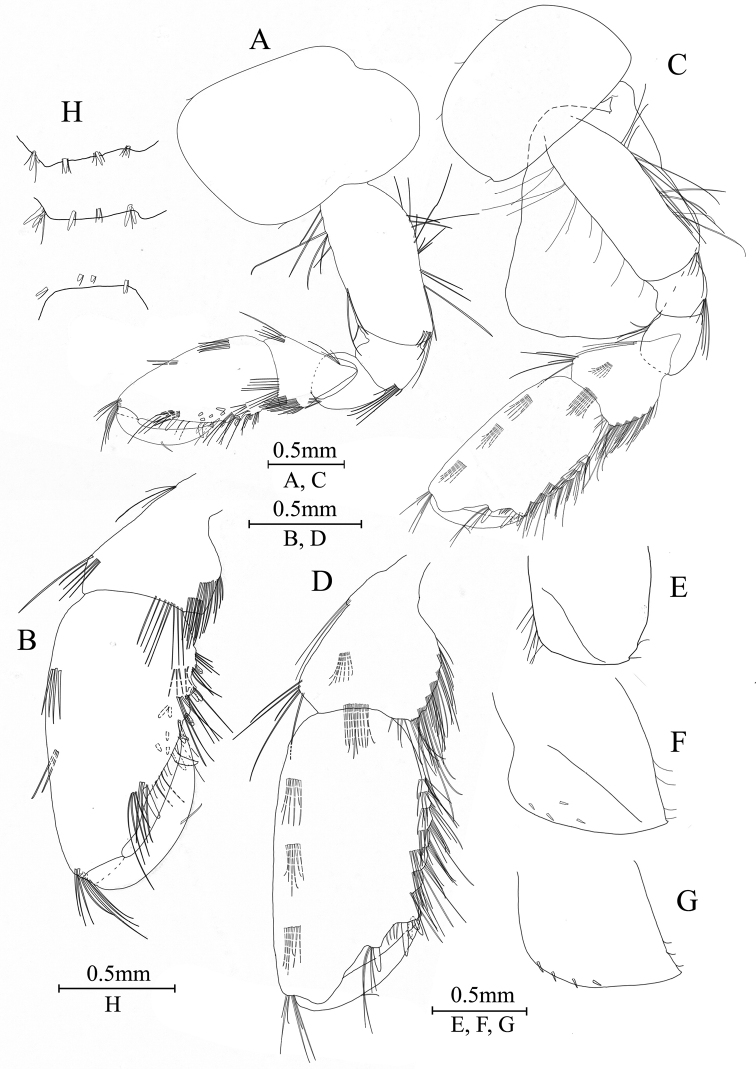 Figure 6.