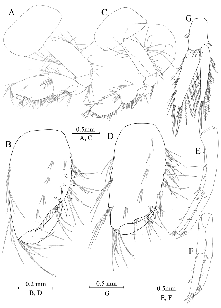Figure 9.