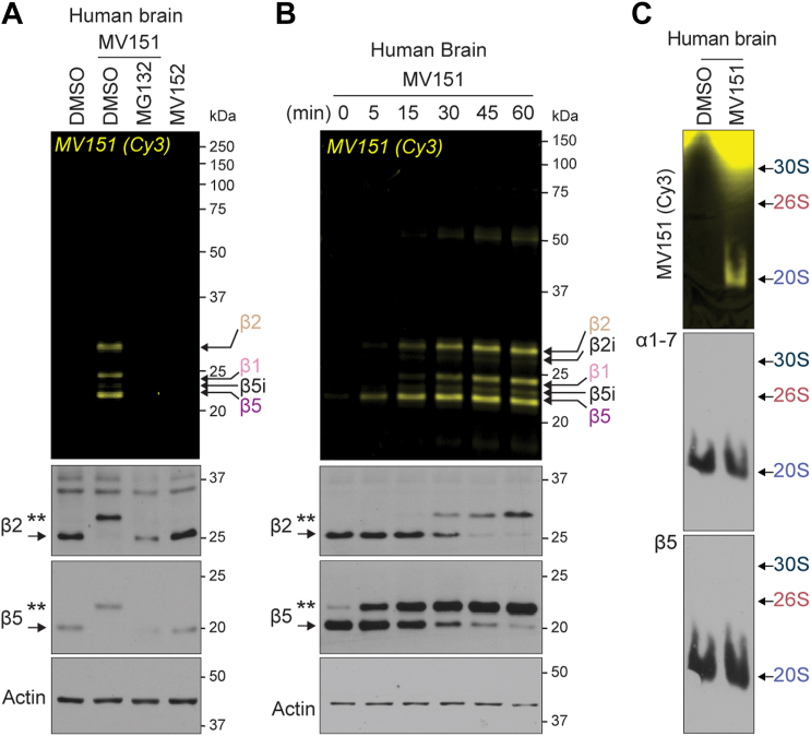 Figure 5