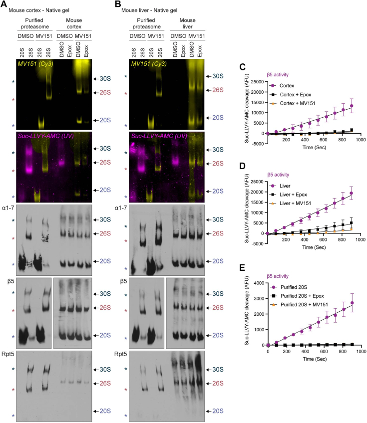 Figure 3