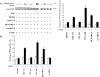 Figure 10.