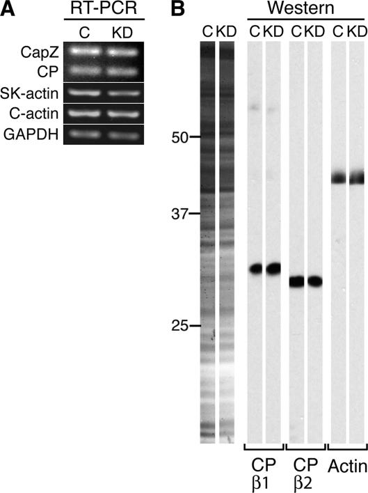 Figure 9.