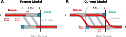 Figure 11.