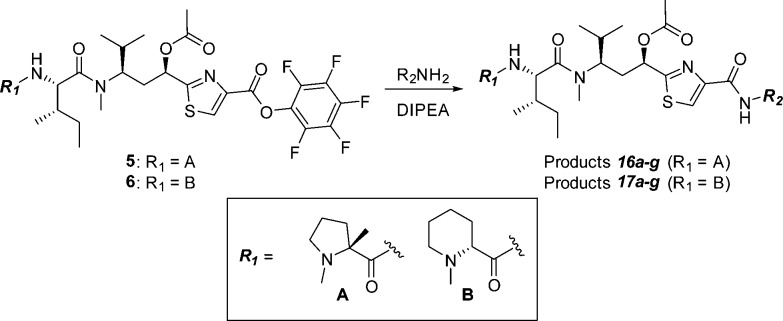 Scheme 4