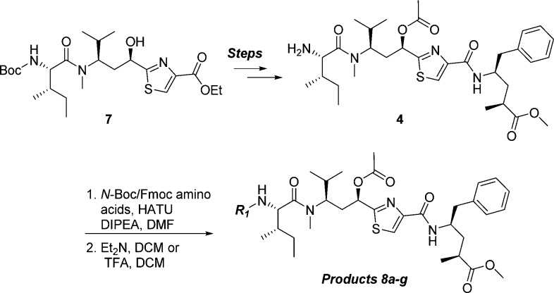 Scheme 1