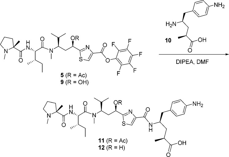 Scheme 2