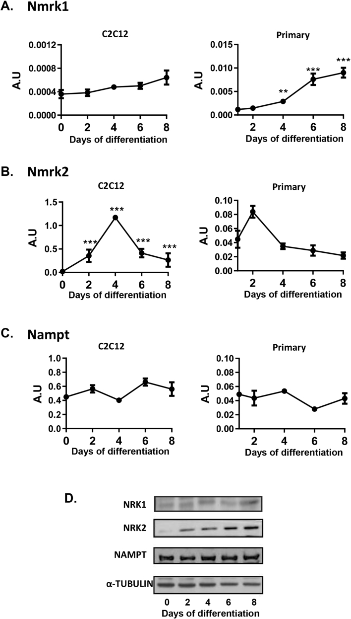 Figure 2