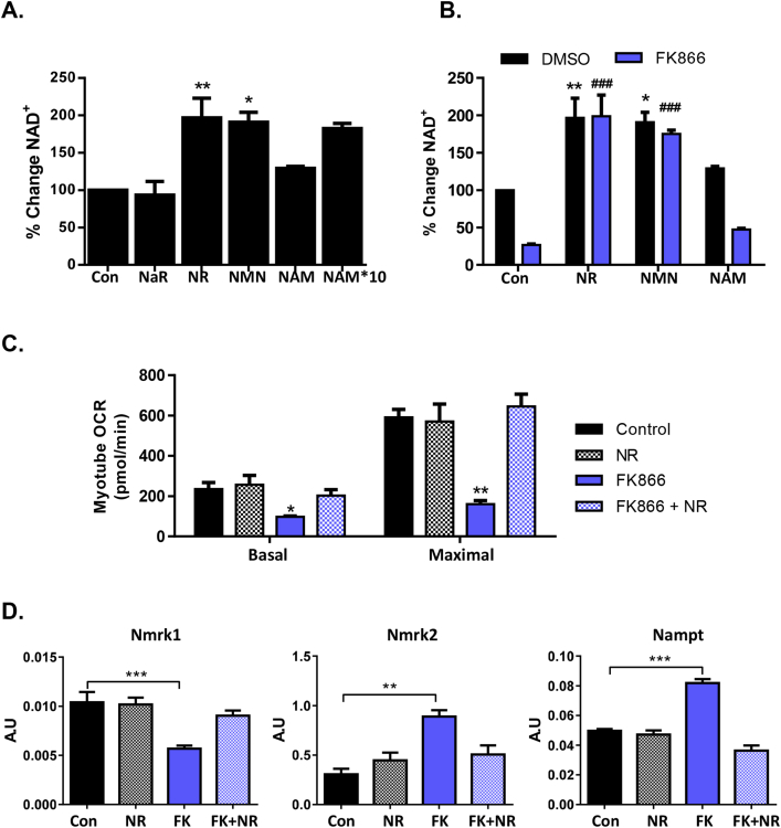 Figure 3