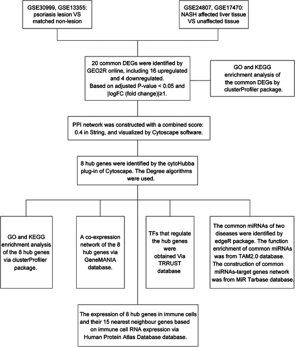 FIGURE 1