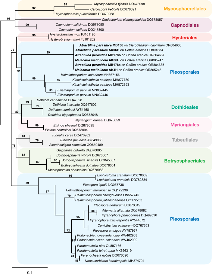 Figure 22.