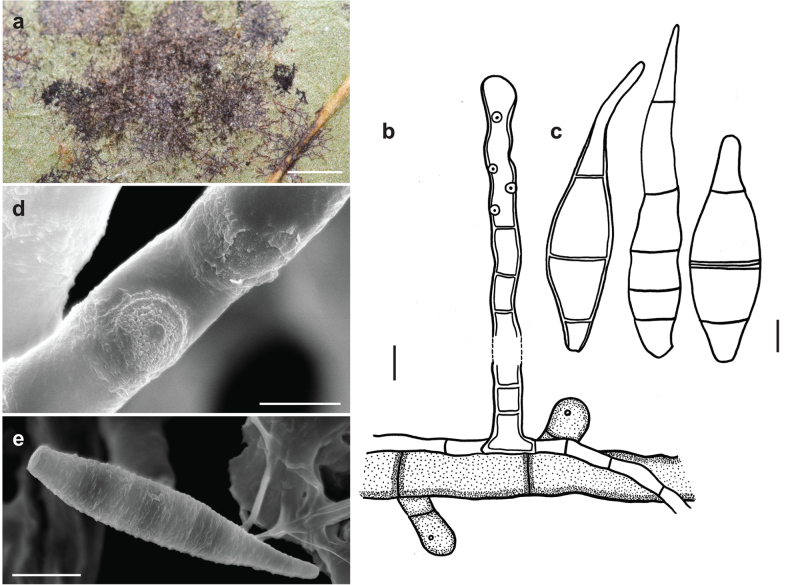 Figure 10.