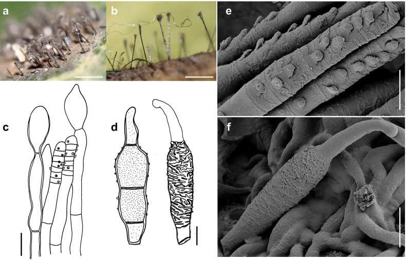 Figure 18.