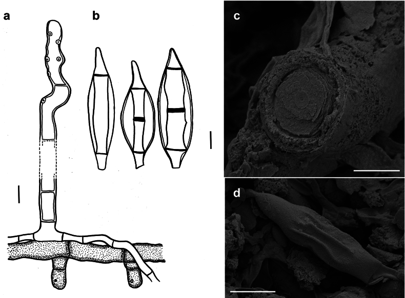 Figure 19.