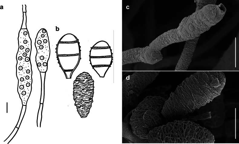 Figure 9.