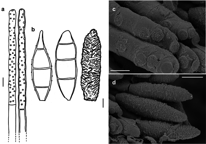 Figure 20.