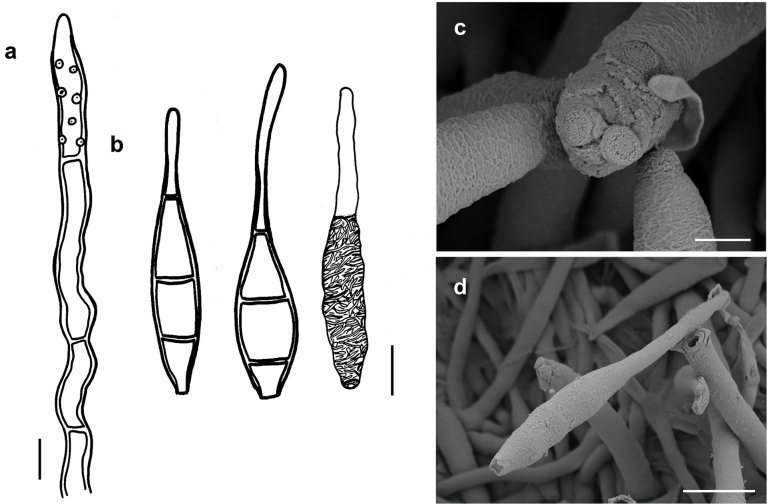 Figure 11.