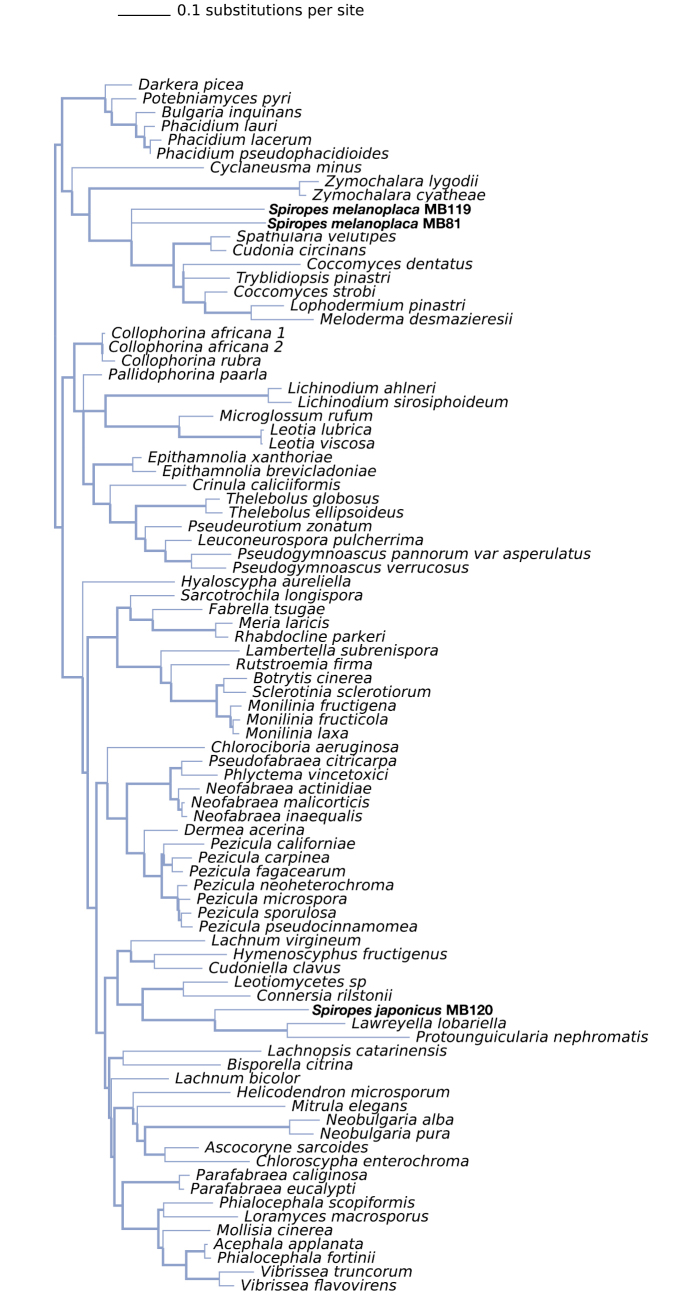 Figure 23.