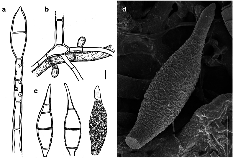 Figure 17.