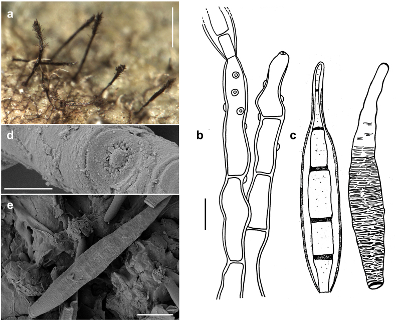 Figure 16.