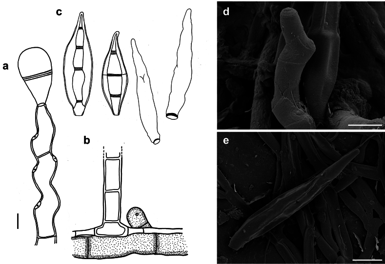 Figure 12.