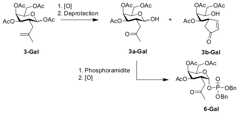 Scheme 2