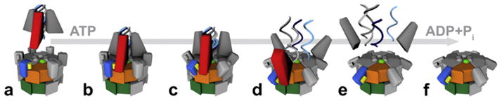 Fig. 5