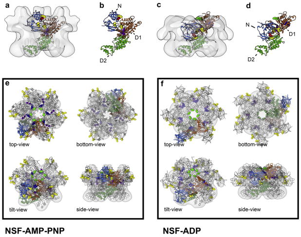 Fig. 2