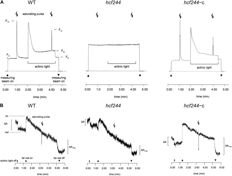 Figure 5.