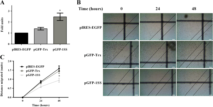 Fig. 5