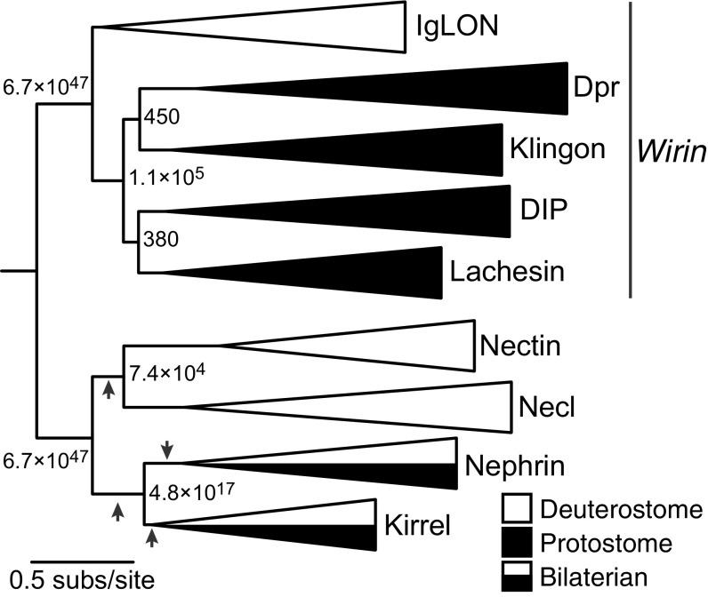 Fig. 1.