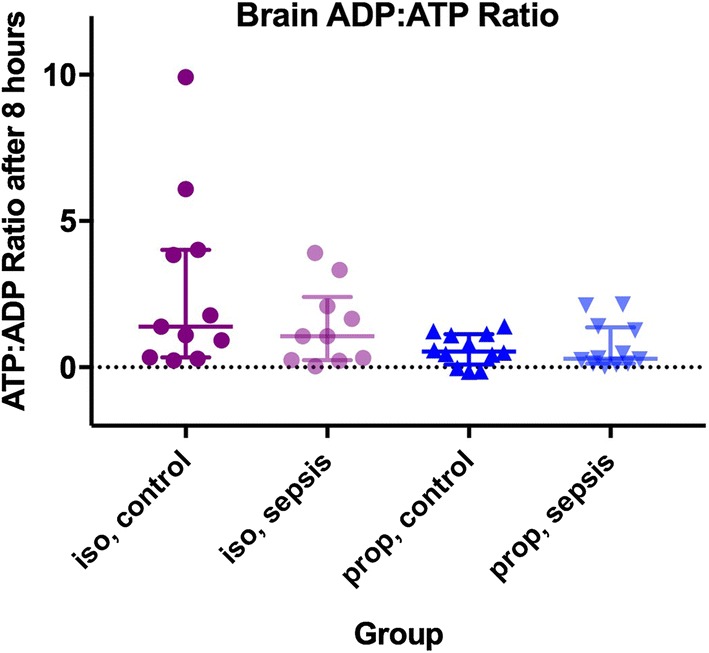 Fig. 3