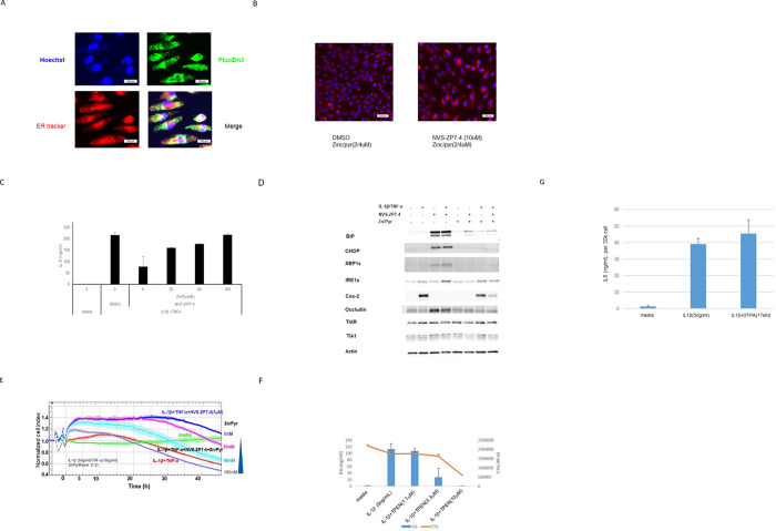 Fig 4