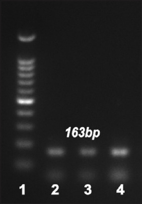 Figure-3