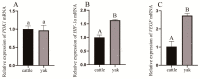 Figure 18