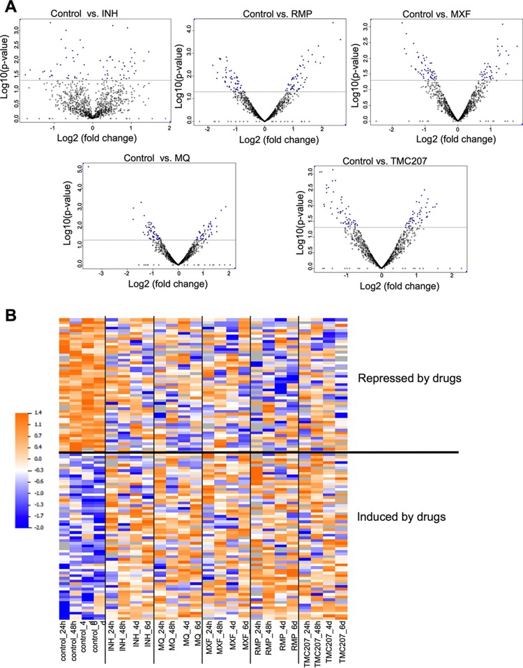 FIG 3