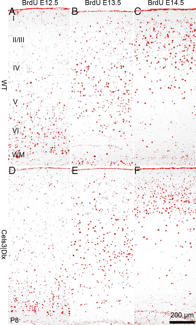 Figure 6.