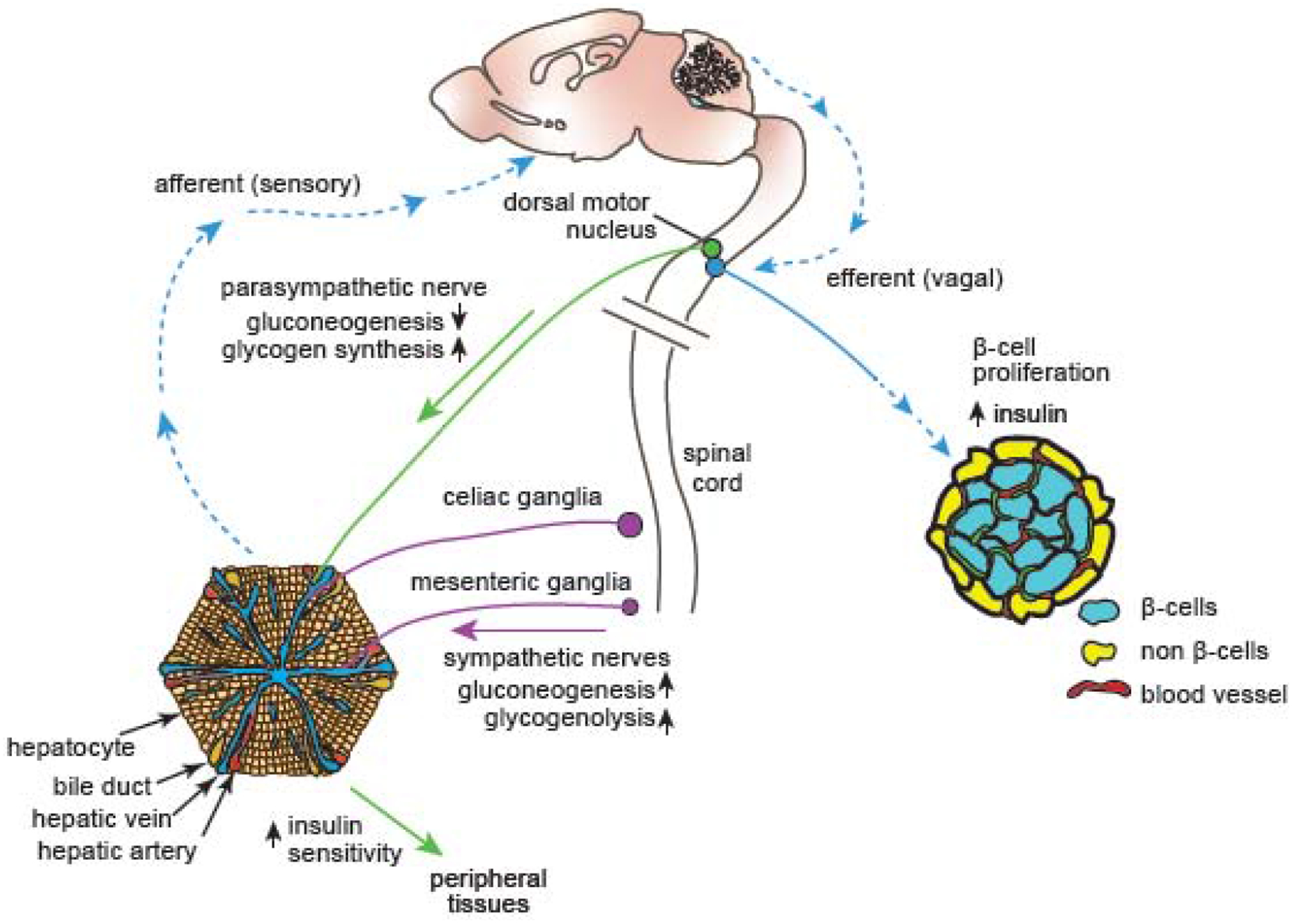 Figure 3: