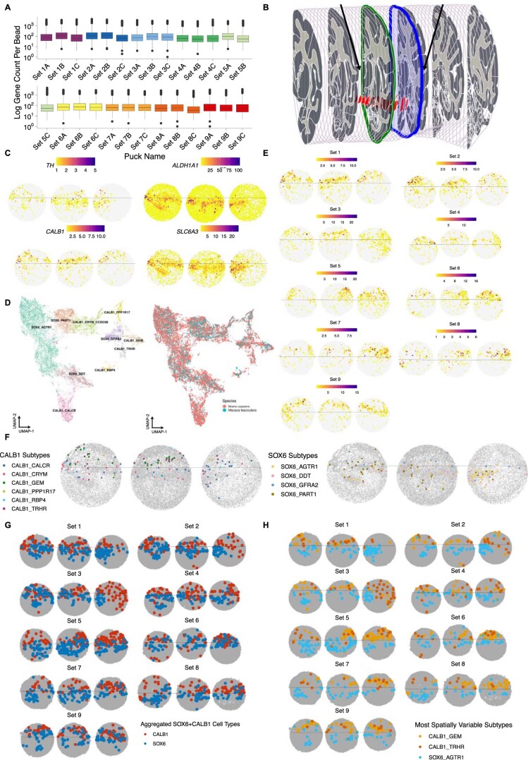 Extended Data Fig. 5