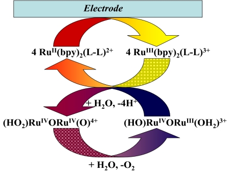 Scheme 2.