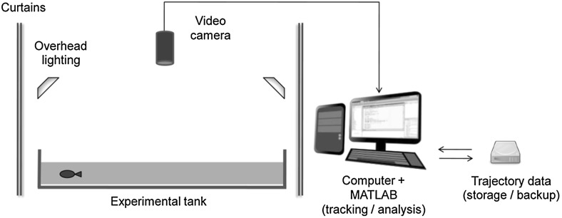 Fig. 1