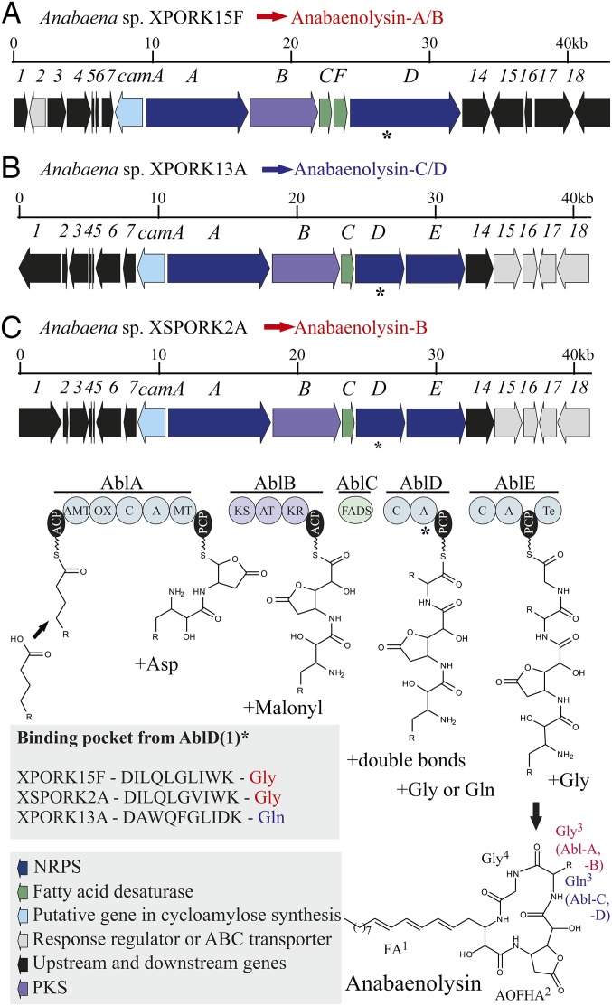 Fig. 4.