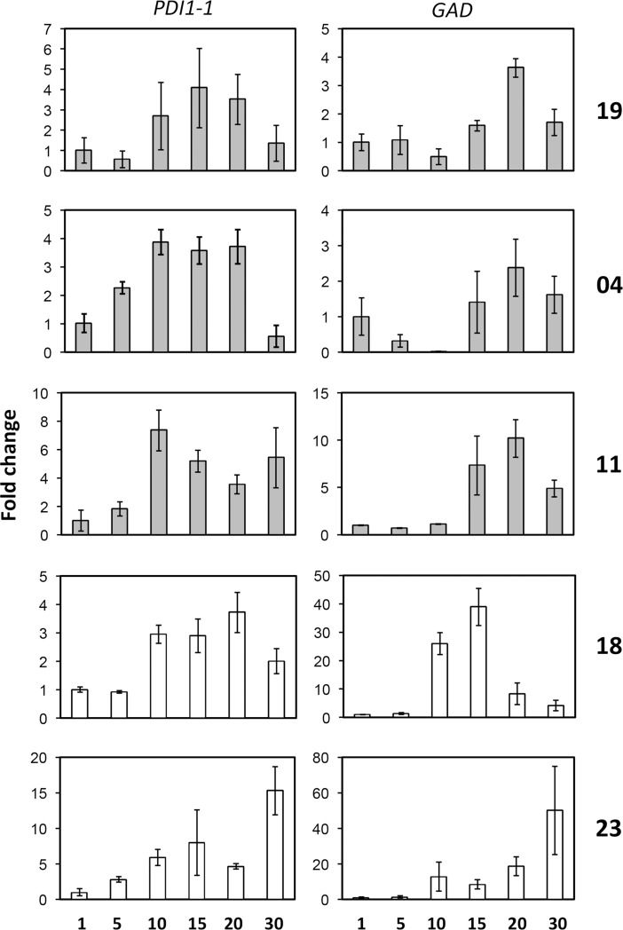 Fig 3