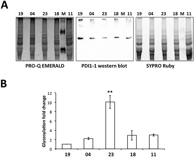 Fig 6