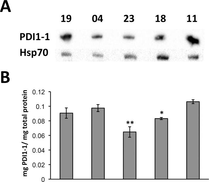 Fig 4