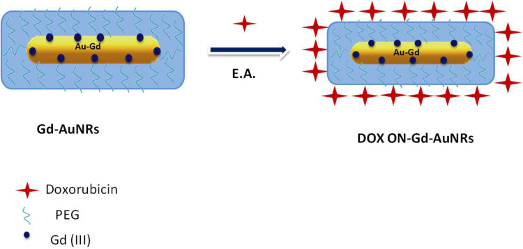 Scheme 3