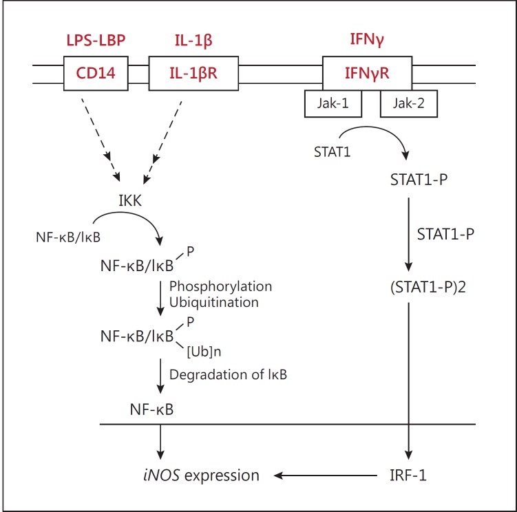 Fig. 12