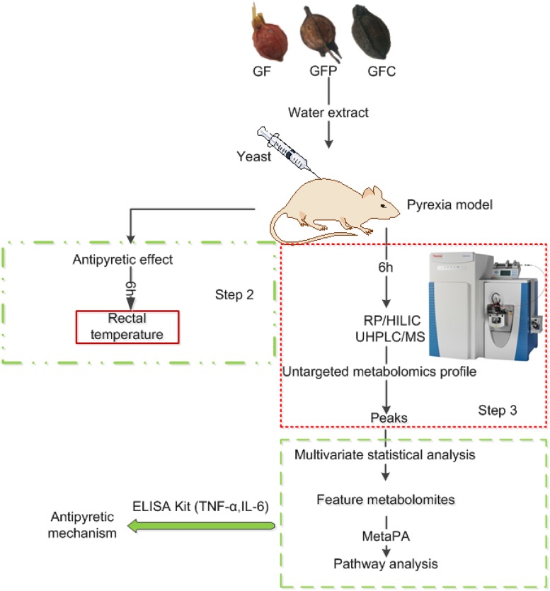 FIGURE 1